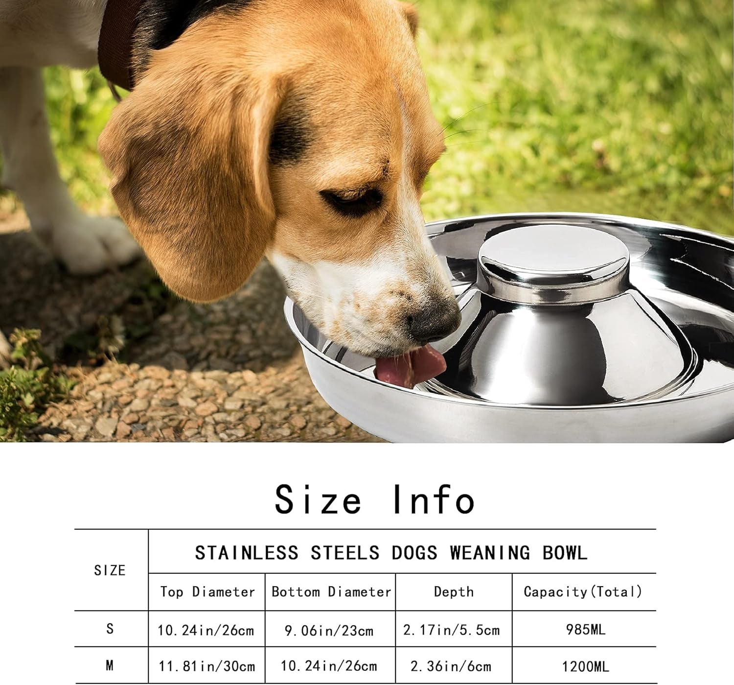 Stainless Steel Puppy Bowls, Set of 2 Puppy Feeder, Dog Food and Water Bowl, Food Feeding Weaning for Small Medium Large Dogs, Pets, M