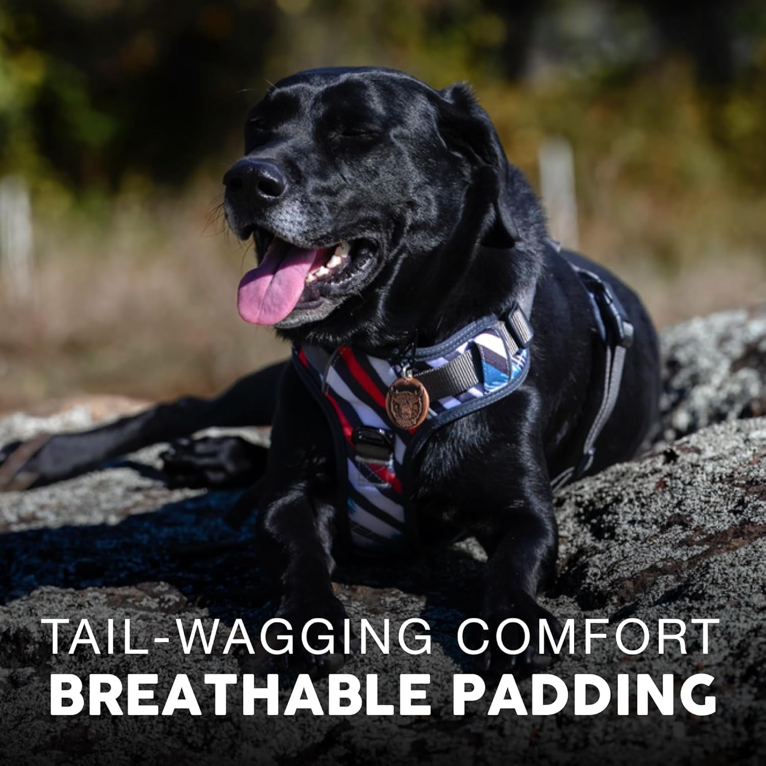 Embark Adventure Dog Harness, Reflective Trim No Pull Dog Harness Medium Sized Dogs - Military Grade Nylon, Front Clip with Gel Lined Handle.