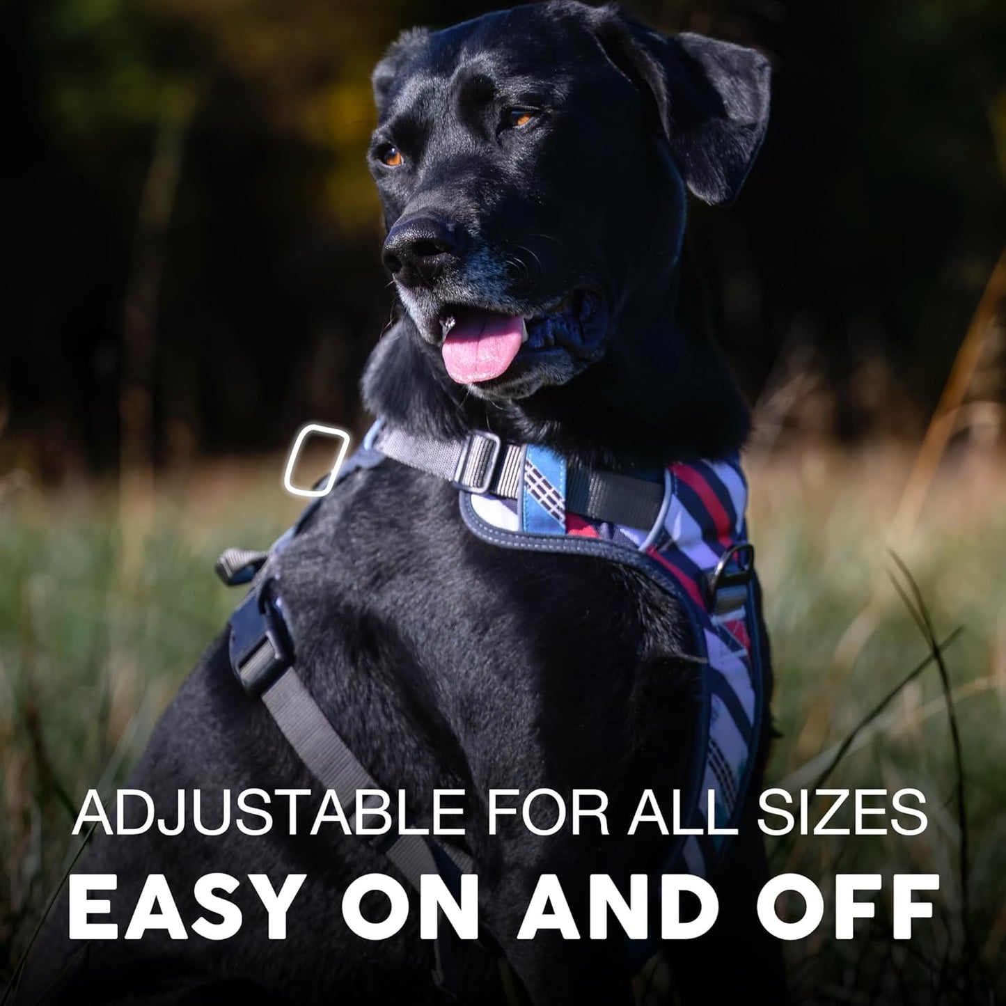 Embark Adventure Dog Harness, Reflective Trim No Pull Dog Harness Medium Sized Dogs - Military Grade Nylon, Front Clip with Gel Lined Handle.