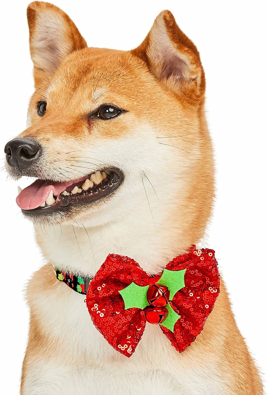 Christmas Holly Adjustable Dog Collar with Bowtie - Dog Collars for Small Dogs, Holiday Dog Collars, Christmas Collar for Dogs - Small Dog Collars for Female Dogs, 12-16" Neck